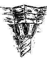 Norman capital in the south porch doorway